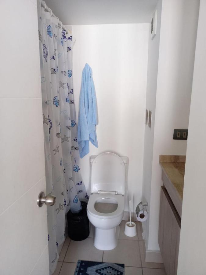 Apartamento Lindo Departamento Amoblado Santiago